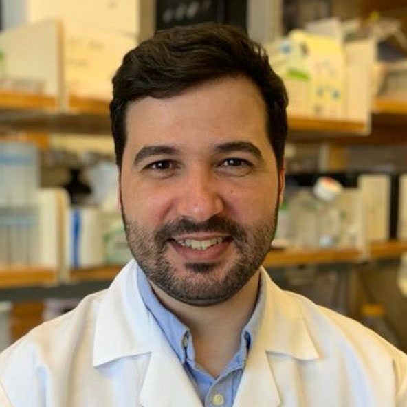 Miguel Ángel Martin, PhD