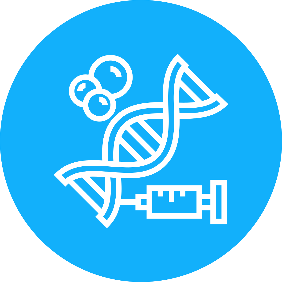 noun-genetic-3088700-FFFFFF noun-genetic-3088700-FFFFFF