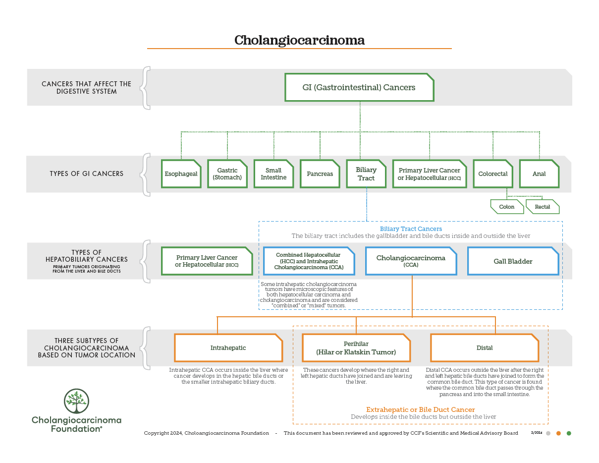 Treatment Options | Cholangiocarcinoma Foundation