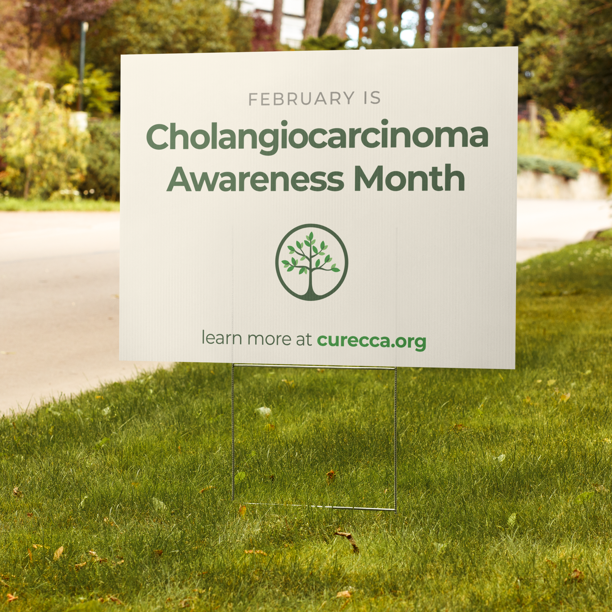 Cholangiocarcinoma Awareness Month Yard Sign